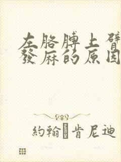 左胳膊上臂疼手发麻的原因