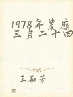 1978年农历三月二十四出生的人命运