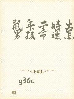 鼠年子时出生的男孩命运怎么样封面