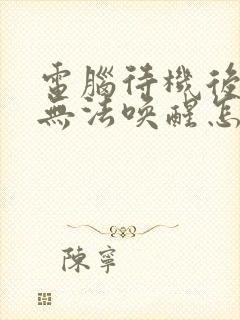 电脑待机后屏幕无法唤醒怎么办