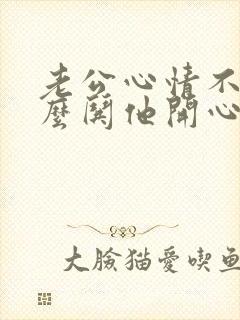 老公心情不好怎么哄他开心