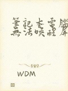 笔记本电脑睡眠无法唤醒屏幕一直黑屏