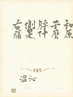 右侧脖子和肩膀痛是什么原因封面