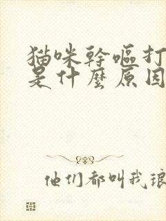 猫咪干呕打喷嚏是什么原因