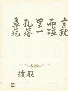 鼻孔里面有个肉疙瘩一碰就疼