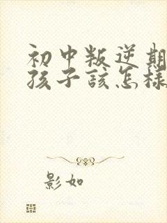 初中叛逆期的男孩子该怎样去沟通教育