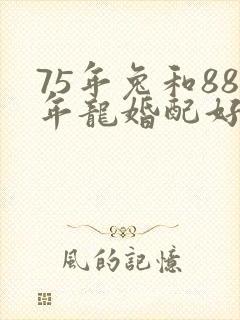 75年兔和88年龙婚配好吗?