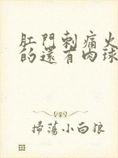 肛门刺痛火辣辣的还有肉球封面