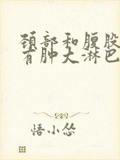 颈部和腹股沟均有肿大淋巴结