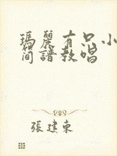 玛丽有只小羊羔简谱教唱