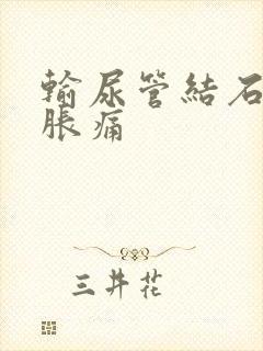 输尿管结石小便胀痛