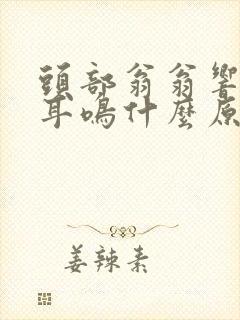 头部翁翁响伴有耳鸣什么原因