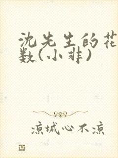 沈先生的花式调数(小非)