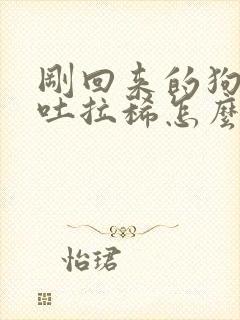 刚回来的狗狗呕吐拉稀怎么办?