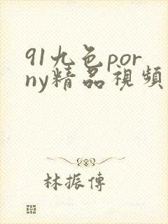 91九色porny精品视频封面