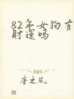 82年女狗有偏财运吗封面