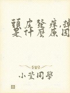 头皮发痒,掉发是什么原因封面