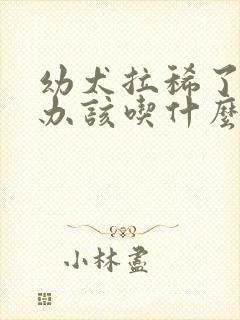 幼犬拉稀了怎么办该吃什么药封面