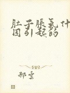 肚子胀气什么原因引起的封面