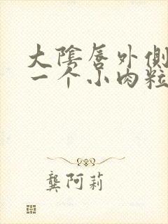 大阴唇外侧长了一个小肉粒