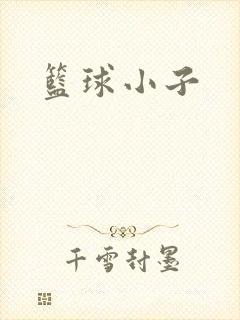 篮球小子