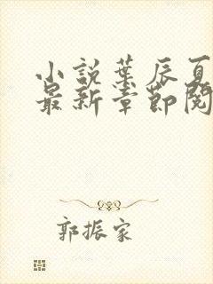 小说叶辰夏若雪最新章节阅读封面