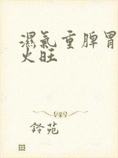 湿气重脾胃虚心火旺