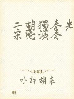 二胡独奏光明行宋飞演奏