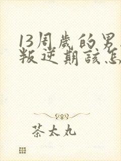 13周岁的男孩叛逆期该怎么办