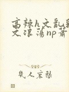 高辣h文乱乳h文浪荡np萧太后封面