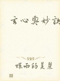 玄心奥妙诀封面