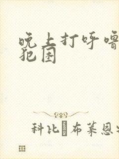 晚上打呼噜白天犯困