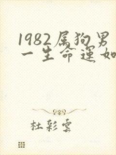 1982属狗男一生命运如何