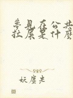 梦见在公共场合拉屎是什么预兆