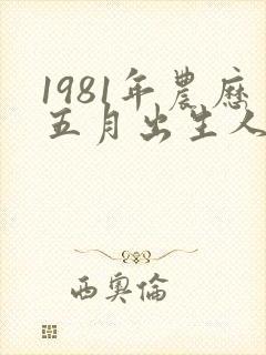 1981年农历五月出生人的命运封面