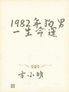 1982年狗男一生命运