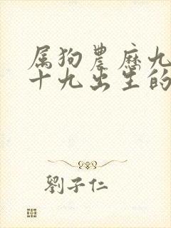 属狗农历九月二十九出生的人命运怎么样