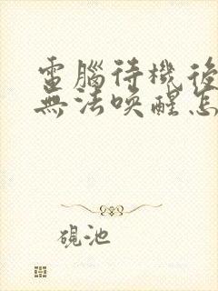 电脑待机后屏幕无法唤醒怎么办