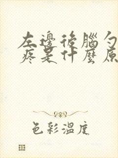 左边后脑勺按压疼是什么原因