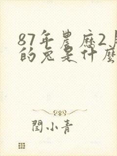 87年农历2月的兔是什么命