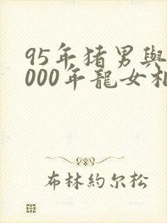 95年猪男与2000年龙女相配吗封面