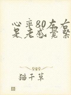 心率80左右就是老感觉紧张心慌封面