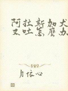 阿拉斯加犬又拉又吐怎么办