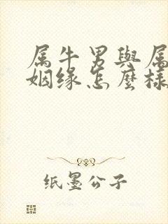 属牛男与属猴女姻缘怎么样