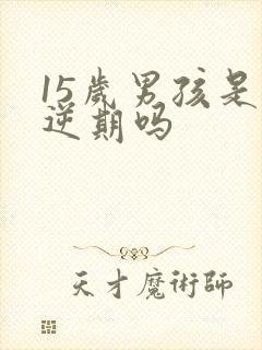 15岁男孩是叛逆期吗