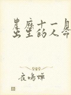 农历十一月初十出生的人命运