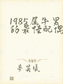 1985属牛男的最佳配偶属相封面