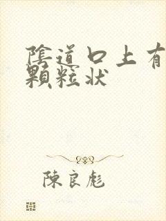 阴道口上有白色颗粒状