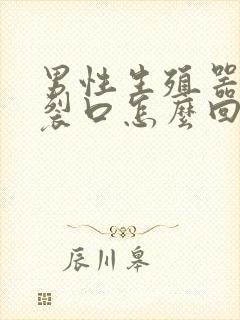 男性生殖器有小裂口怎么回事