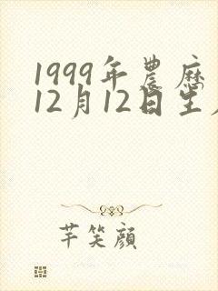 1999年农历12月12日生辰八字